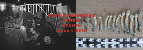 прущий лед Белоозёрский