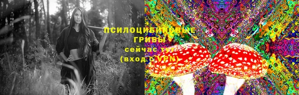прущий лед Белоозёрский
