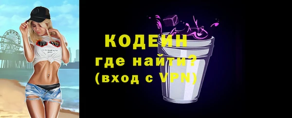 дживик Белокуриха