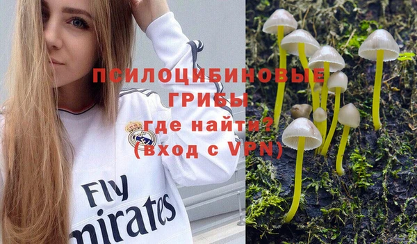 дживик Белокуриха