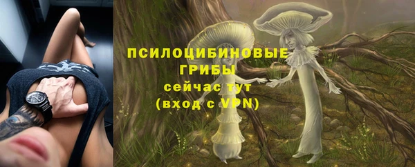 соль курить ск Бежецк
