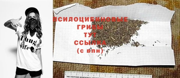 дживик Белокуриха