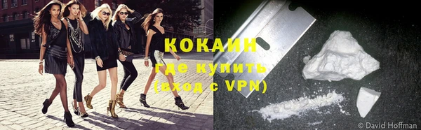 дживик Белокуриха