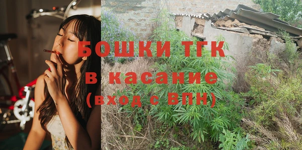 дживик Белокуриха